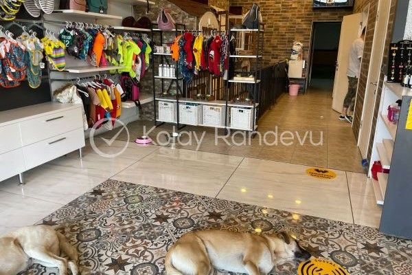Patiffeur Pet Kuaför resim 1