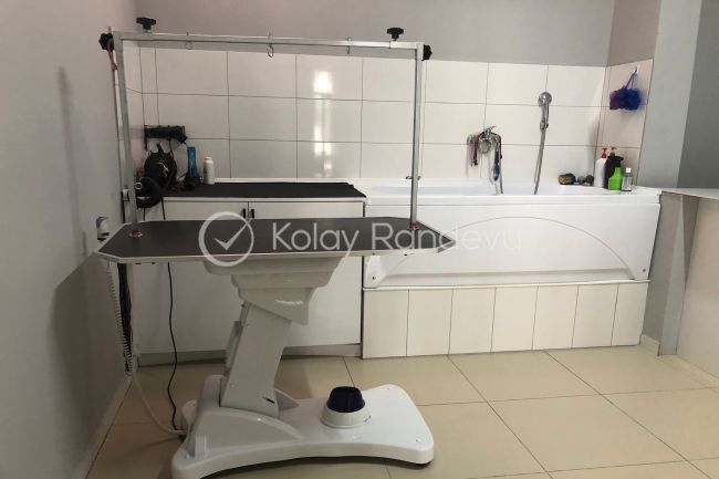 Petra Pet Shop ve Pet Kuaför resim 1