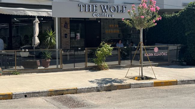The Wolf Coiffeur resim 1